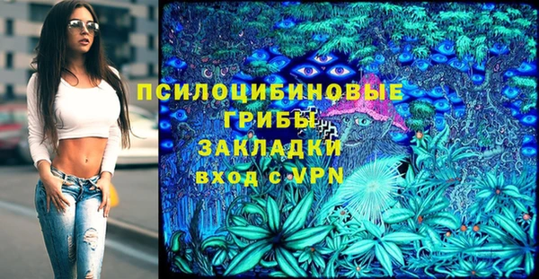 первитин Алексин