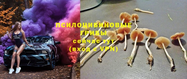 ALPHA PVP Алзамай