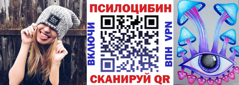 купить наркотик  Нолинск  Псилоцибиновые грибы Psilocybine cubensis 